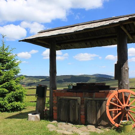 Vila Jela Tornik Zlatibor Exterior foto